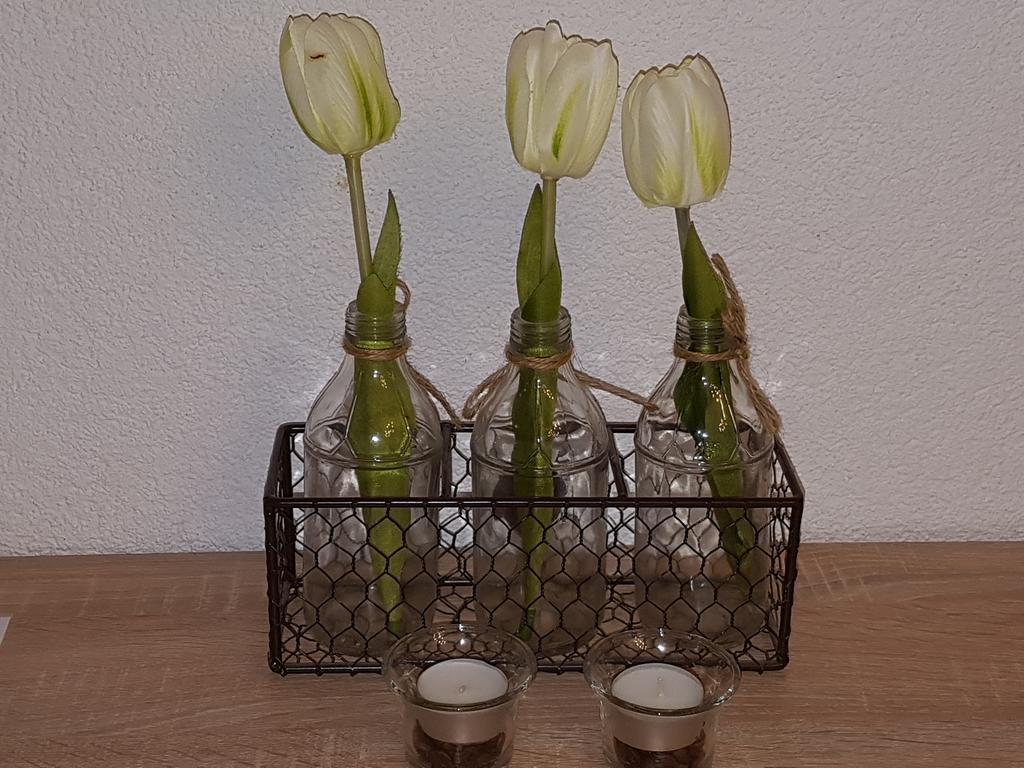 רינגסהיים Ferienwohnungen Durgut מראה חיצוני תמונה